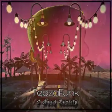 TebzaFunk - I Need Reality